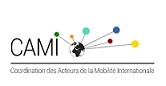 Coordination des Acteurs de la Mobilité Internationale