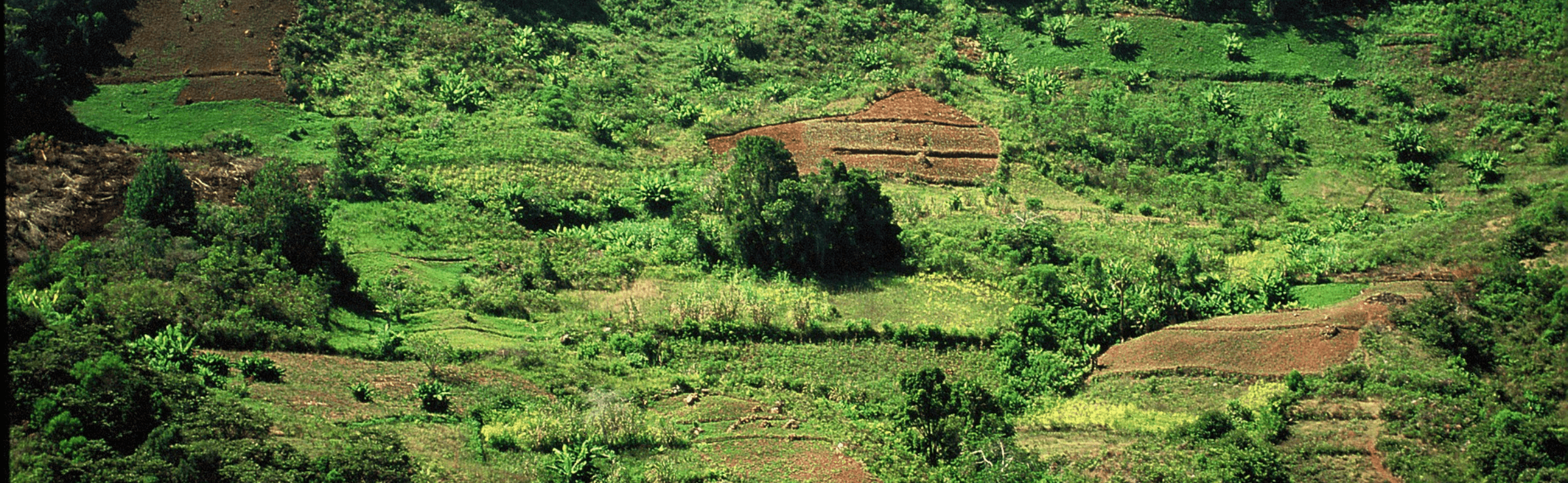 Groupe de travail Transitions agricole et alimentaire