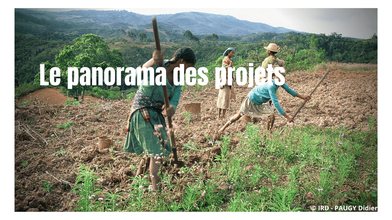 Panorama des projets